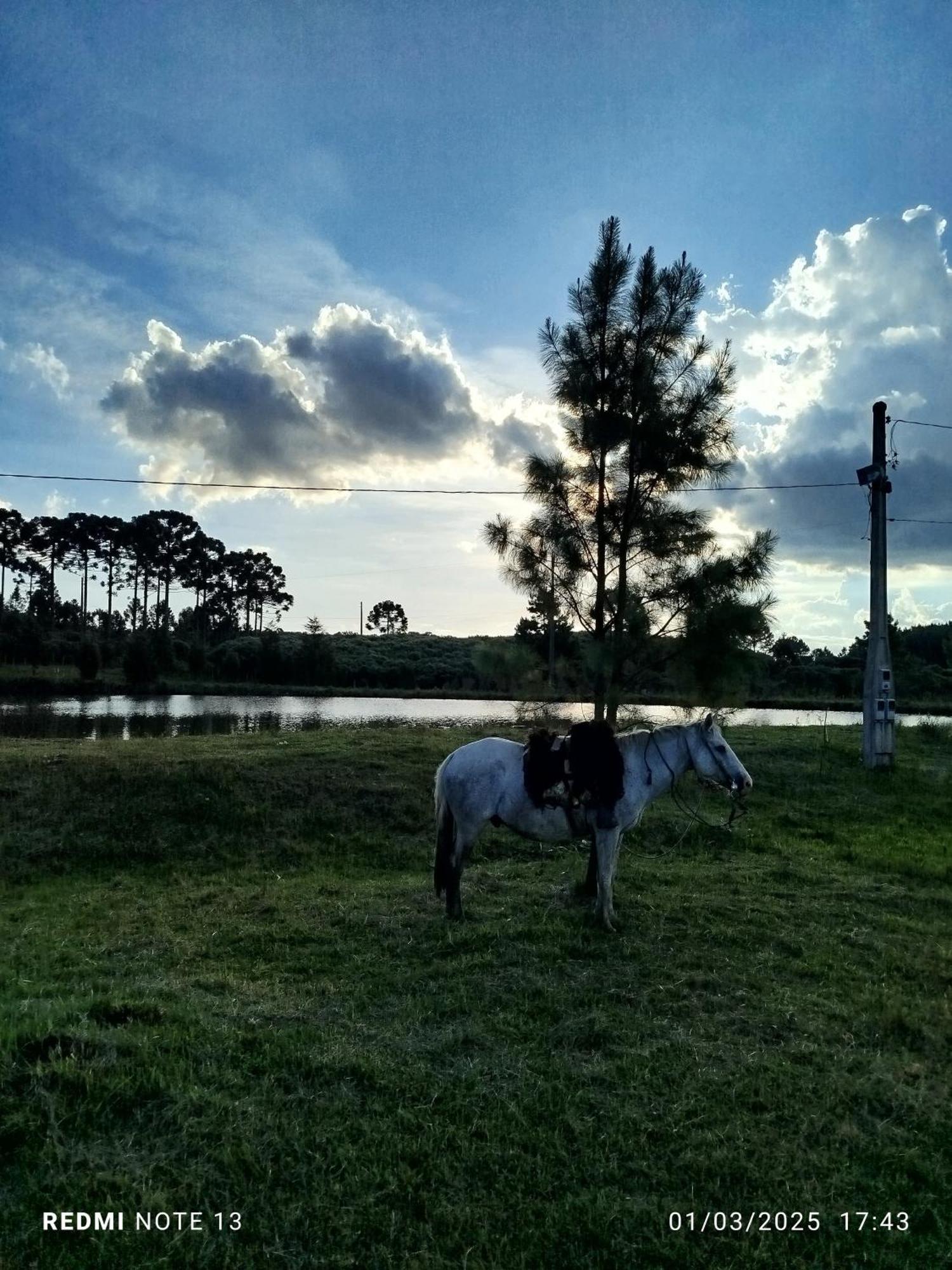 Encanto Das Araucarias กัมบารา ภายนอก รูปภาพ